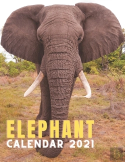 Bertrand.pt - Elephant Calendar 2021