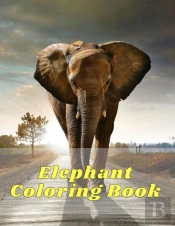 Elephant Coloring Book
