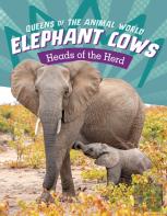 Elephant Cows