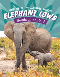Bertrand.pt - Elephant Cows