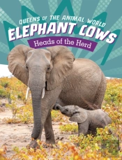 Elephant Cows