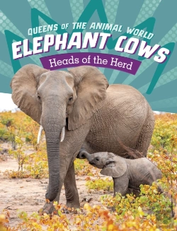 Bertrand.pt - Elephant Cows