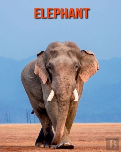 Bertrand.pt - Elephant