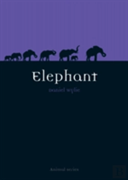 Bertrand.pt - Elephant