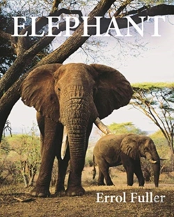 Bertrand.pt - Elephant