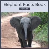 Elephant Facts Book For Kids