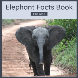 Bertrand.pt - Elephant Facts Book For Kids