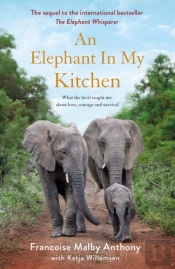 Elephant In My Kitchen