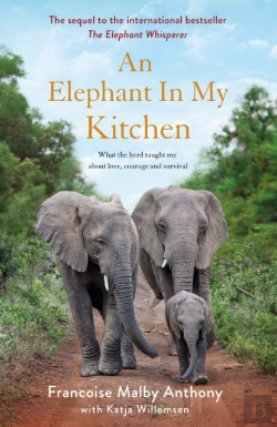 Bertrand.pt - Elephant In My Kitchen