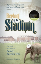Elephant In The Stadium