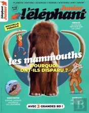 Elephant Junior N°20