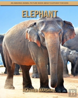 Bertrand.pt - Elephant