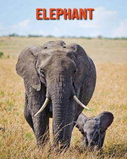 Bertrand.pt - Elephant
