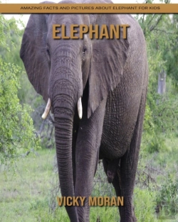 Bertrand.pt - Elephant