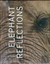 Elephant Reflections
