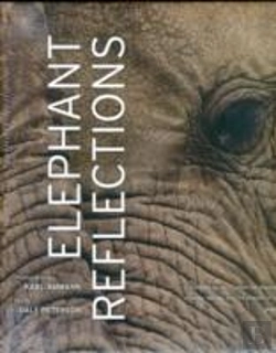 Bertrand.pt - Elephant Reflections
