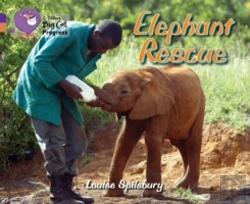 Bertrand.pt - Elephant Rescue