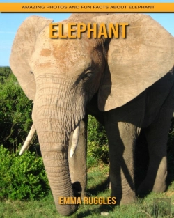 Bertrand.pt - Elephant