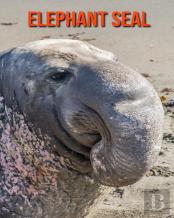 Elephant Seal