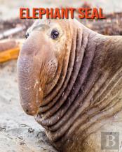 Elephant Seal