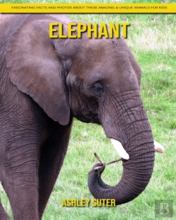 Bertrand.pt - Elephant