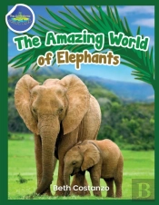Elephants Activity Workbook For Kids Ages 4-8!