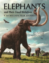 Elephants And Their Fossil Relatives