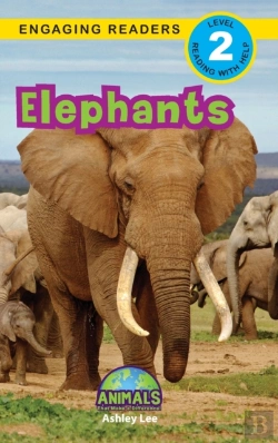 Bertrand.pt - Elephants