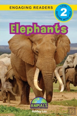 Bertrand.pt - Elephants