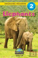 Elephants