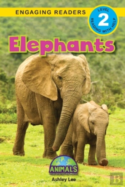 Bertrand.pt - Elephants