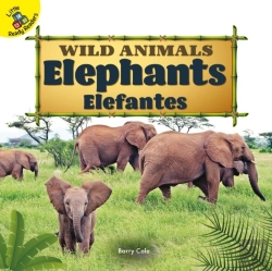 Bertrand.pt - Elephants