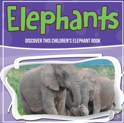 Bertrand.pt - Elephants