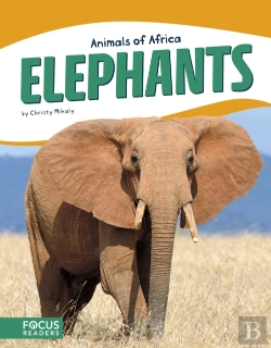 Bertrand.pt - Elephants