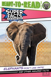 Elephants Don'T Like Ants!