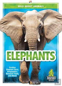 Bertrand.pt - Elephants