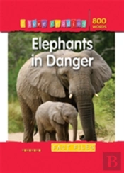 Elephants In Danger