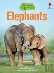 Elephants
