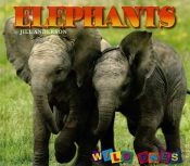 Elephants