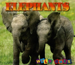 Bertrand.pt - Elephants