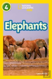 Elephants