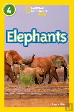 Bertrand.pt - Elephants