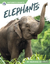 Elephants