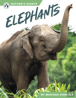 Bertrand.pt - Elephants