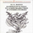 Elephant'S Nest In A Rhubarb Tree And Other Stories