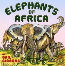 Elephants Of Africa