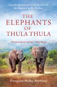 Elephants Of Thula Thula