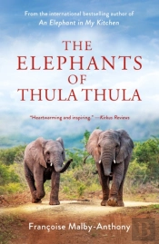 Elephants Of Thula Thula