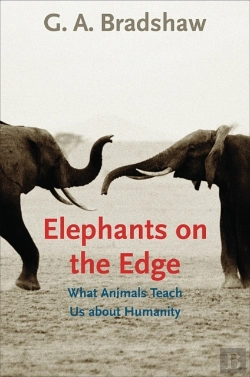Bertrand.pt - Elephants On The Edge