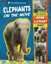 Elephants On The Move